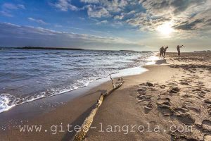 bois-flotte Sérignan plage