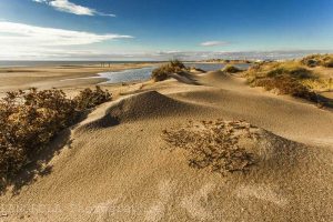 dunes à Sérignan plage